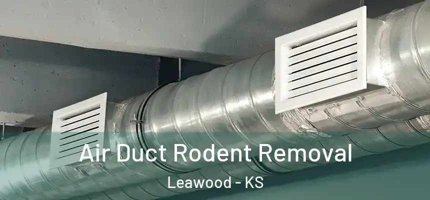  Air Duct Rodent Removal Leawood - KS