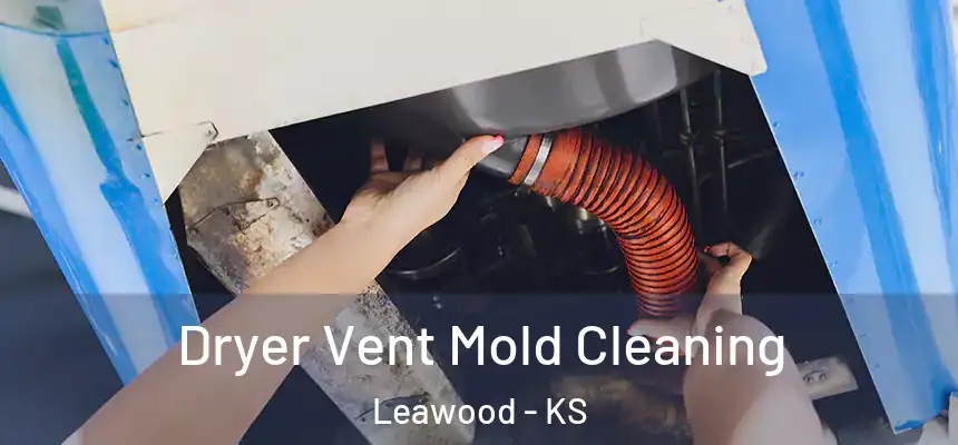  Dryer Vent Mold Cleaning Leawood - KS