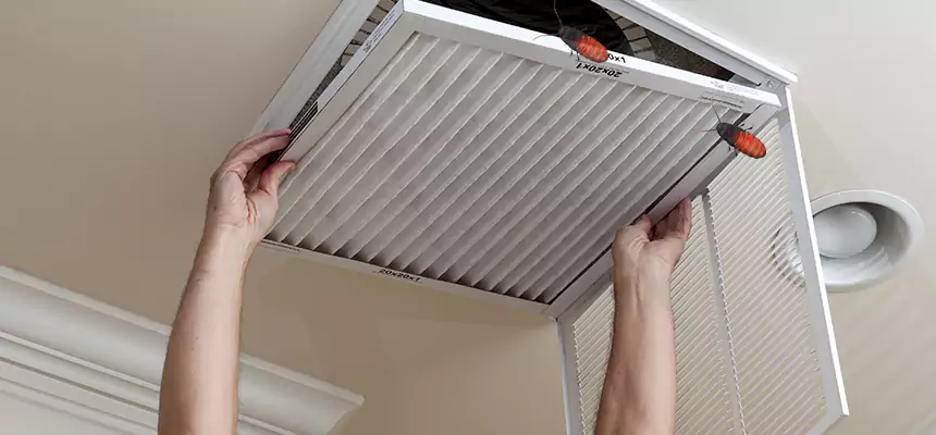 Preventive Cockroach-Proofing for Ducts in Leawood