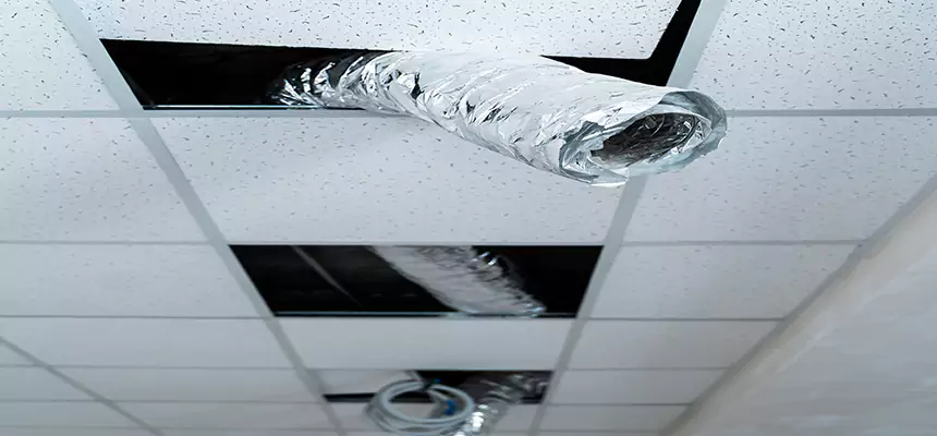 Affordable HVAC Sanitizing After Pest Removal in Leawood