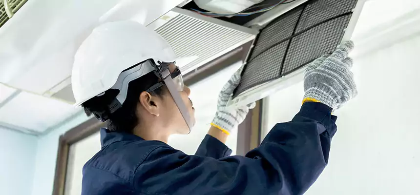 Our Mold & Mildew Removal from Air Ducts Services in Leawood, KS