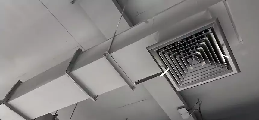 Our Rodent Droppings In Vents Services in Leawood, KS