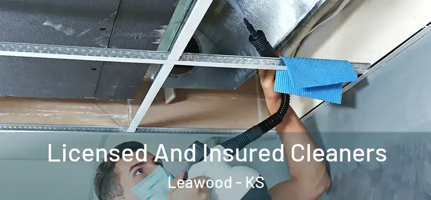  Licensed And Insured Cleaners Leawood - KS