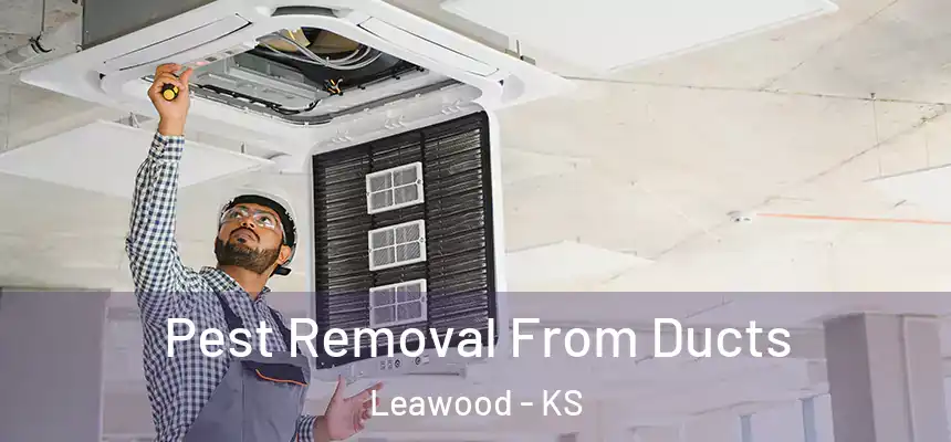  Pest Removal From Ducts Leawood - KS