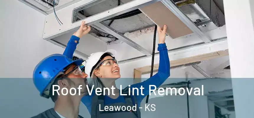  Roof Vent Lint Removal Leawood - KS
