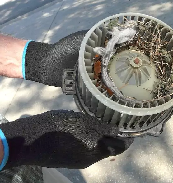 About Air Duct Rat Removal in Leawood, KS