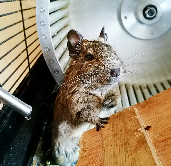 Why Homeowners & Businesses Trust Us Leawood, KS